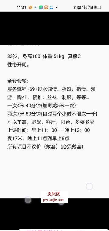 南站四川骚少妇